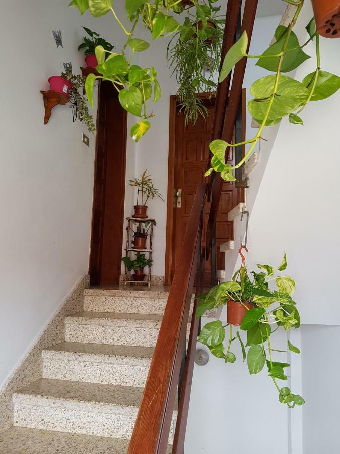 가라치코 Atico Con Vistas Al Mar, Garachico 아파트 외부 사진